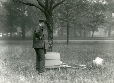 Keeper Brown mézelő méhrajt mozgat, Londoni Állatkert, 1926. július alkotó: Frederick William Bond