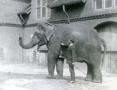 Syed Ali, Indianit oktatja az Elephant House előtt, a londoni állatkertben, 1923. augusztus (bw fotó) alkotó: Frederick William Bond