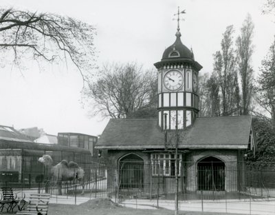A teveház. Londoni Állatkert alkotó: Frederick William Bond