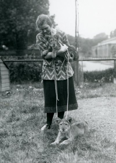 Két oroszlánkölyök egy fiatal nővel a londoni állatkertben 1925 augusztusában alkotó: Frederick William Bond