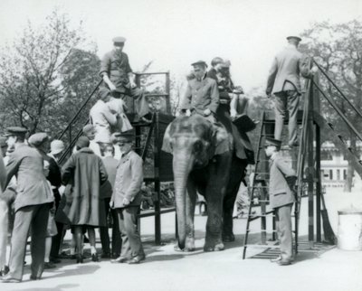 A látogatók sorban állnak az elefántlovaglásért, míg mások elindulnak, öt állattartó segítségével, Londoni Állatkert, 1927 alkotó: Frederick William Bond
