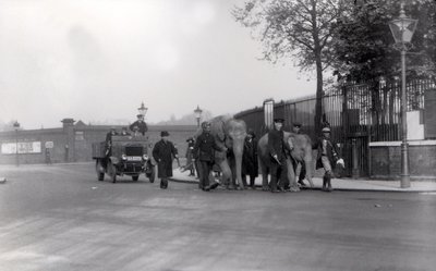 1923-ban elsétált egy pár elefánt a dokkból a ZSL Londoni Állatkertbe, ez volt az utolsó alkalom, amikor ez történt alkotó: Frederick William Bond