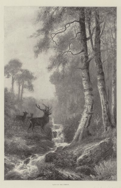 Hajnal az erdőben alkotó: Frederick William Hayes