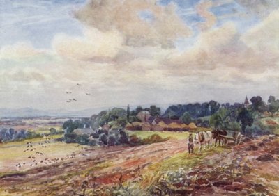 Éhes Grafton alkotó: Frederick William Newton Whitehead
