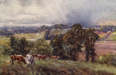 Leamington és Warwick a Campion Hillsből alkotó: Frederick William Newton Whitehead