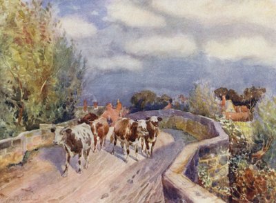 Marton híd alkotó: Frederick William Newton Whitehead