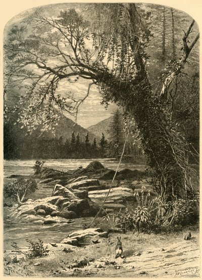 "The French Broad", 1872. alkotó: Frederick William Quartley