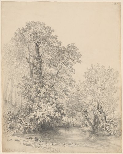 Fák a folyó mellett a Bromwich kastélyban alkotó: Frederick William Watts