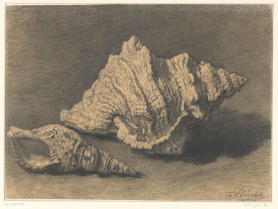 Két kagyló alkotó: Frederik Willem Zürcher