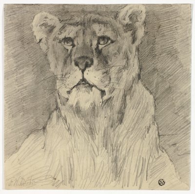Ülő oroszlán nő elölnézetből alkotó: Frederik William Zurcher
