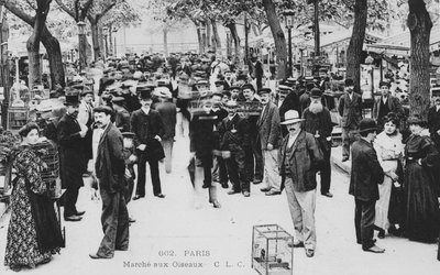 Madárpiac, Párizs alkotó: French Photographer