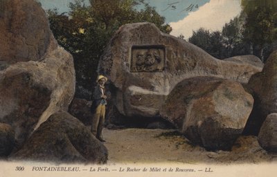 Fontainebleau, La Foret, Milétosz szikla és Rousseau alkotó: French Photographer