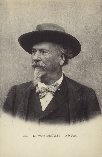 Frederic Mistral (1830-1914), francia költő és az okszitán nyelv lexikográfusa alkotó: French Photographer