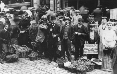 A Les Halles piac kertészei, Párizs, 1907 alkotó: French Photographer