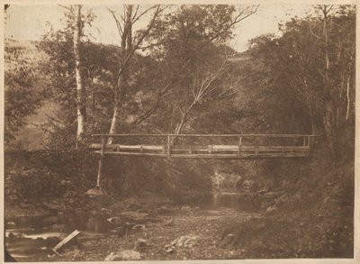 Tájkép fákkal és híddal,c. 1850 (fotó) alkotó: French Photographer