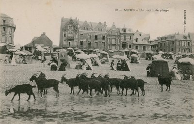 Mers - a strand egy része. 1913-ban feladott képeslap. alkotó: French Photographer