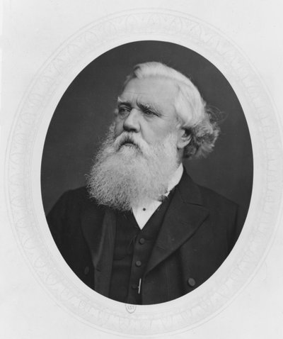 Henry Layard portréja, 1880 körül alkotó: French Photographer