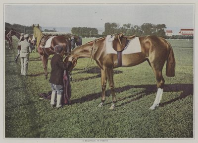 Versenylovak Deauville-ben, Franciaországban (színes fotó) alkotó: French Photographer