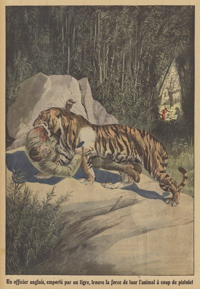 Egy brit tiszt, akit elvitt egy tigris, megtalálja az erejét, hogy megölje az állatot pisztolyával (színes litho) alkotó: French School