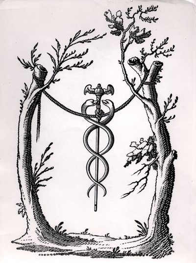 Caduceusban alkotó: French School