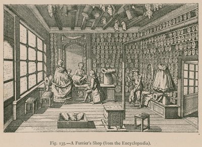 Furriers Shop (az Encyclopaediából) alkotó: French School