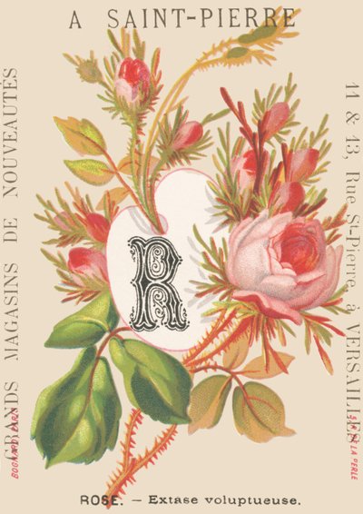 V: Rózsaszín – érzéki eksztázis alkotó: French School