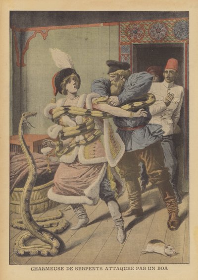 Egy kígyóbűvölő nőstényt megtámadott egy boa constrictor Alexandriában (színes litho) alkotó: French School