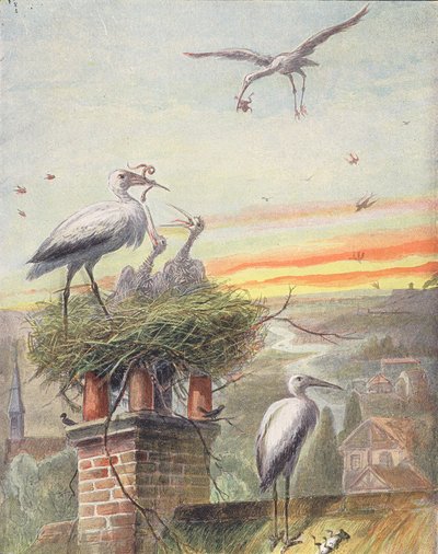 Gólyafészek (színes litográfia) alkotó: French School