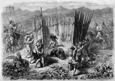 Tigrisvadászat Jáva szigetén 1862-ben. Metszet a „” Le Monde Illustré”” 251. számában, 1862. február 1.. alkotó: French School