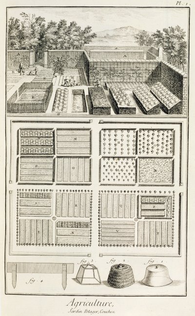 Egy veteményeskert, Denis Diderot (1713-84) Tudomány, Művészet és Mérnöki Enciklopédia című könyvéből, 1770 körül alkotó: French School