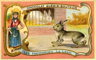 Csokoládék reklámkromolitográfiája Guerin Boutron, Emlősök, A nyúlketrec és a vad, Warren alkotó: French School