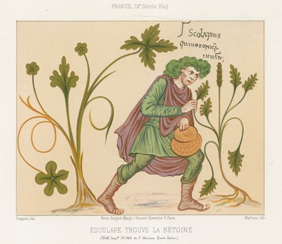 Aesculapius felfedezi a betóniát alkotó: French School
