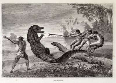 Aligátorvadászat, Brazília, „A világ körül”” 1874. második hete. alkotó: French School