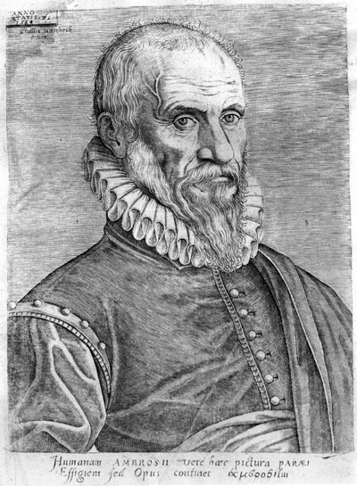 Ambroise Paré (1509-1590). alkotó: French School