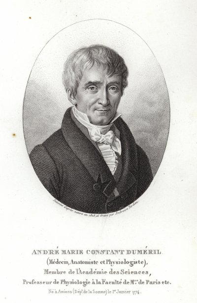 André Marie Constant Dumeril alkotó: French School