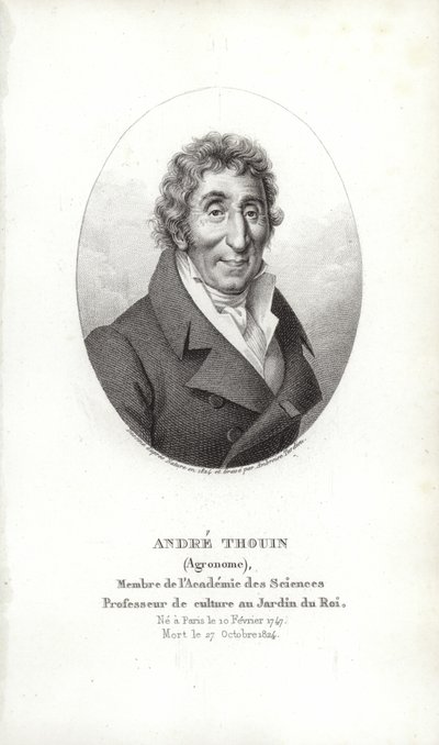 André Thouin alkotó: French School