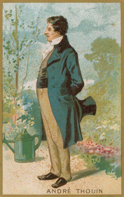 Andre Thouin alkotó: French School