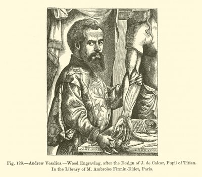 Andrew Vesalius (metszet) alkotó: French School