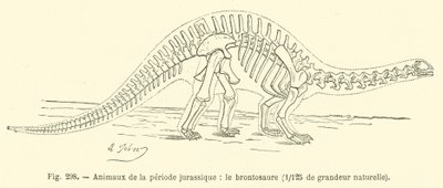 A jura időszak állatai, a Brontosaurus (metszet) alkotó: French School