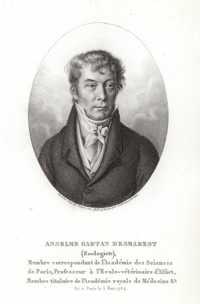 Anselme Gaetan Desmarest alkotó: French School