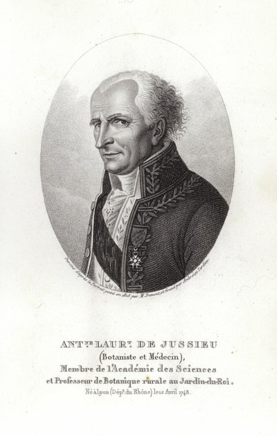 Antoine Laurent de Jussieu alkotó: French School