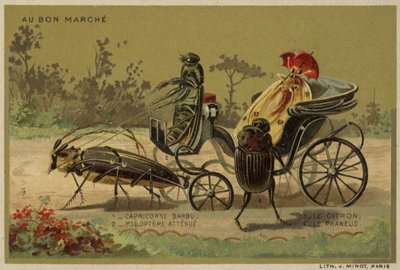 Au Bon Marche kártyák antropomorf rovarokkal alkotó: French School