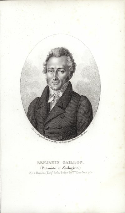 Benjamin Gaillon alkotó: French School