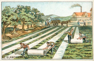 Fehérítés (chromolitho) alkotó: French School