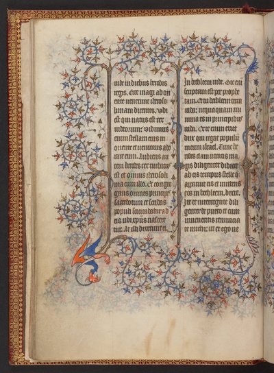 Book of Hours, Add MS 32454 f.11v, France alkotó: French School
