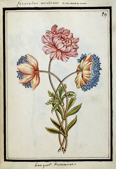 Csokor kökörcsin, 1700 körül alkotó: French School