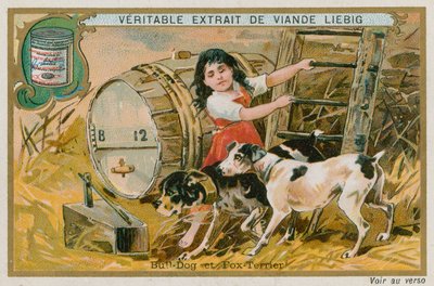 Bulldog és Fox Terrier alkotó: French School