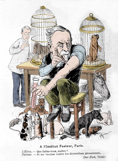 Louis Pasteur tudós, a veszettség elleni vakcina feltalálójának rajzfilmje, aki a porosz díszek ellen oltja magát. Publie in „Der Floh”” alkotó: French School