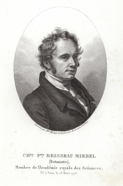 Charles-Francois Brisseau de Mirbel alkotó: French School