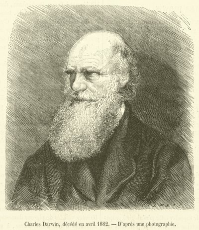Charles Darwin, decede en avril 1882 (metszet) alkotó: French School